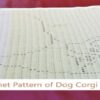 Full width view of corgi filet crochet blanket pattern sized from baby to adult